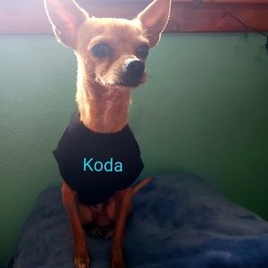 Meet your Posher, Ana